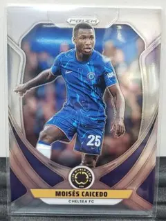 panini club would cup 25　カイセド