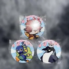 ありさか CRフェス 2025 缶バッジ CRFES Crazy Raccoon - メルカリ