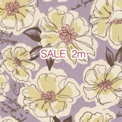 ラスト3点 SALE 2m 線描きフラワー パープル オックス