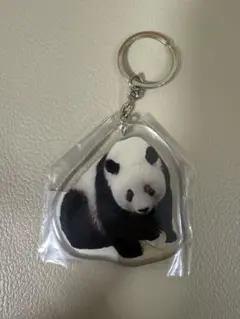 2025年最新】上野動物園 シャンシャン キーホルダーの人気