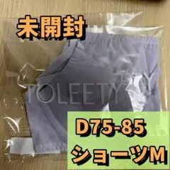 TOLEETY ブラジャー ショーツセット D75-85 パープル 未使用品zg