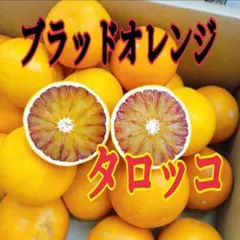 ブラッドオレンジ　タロッコ　Lサイズ ☆2のサムネイル