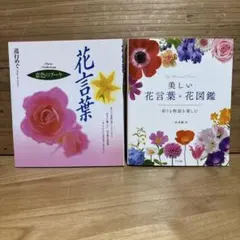 Item thumbnail for item df384546-973c-4614-a7cb-01bdaa069670