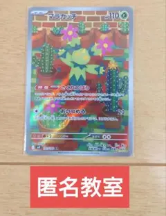 ポケモンカード マラカッチ 101/100 AR 1枚
