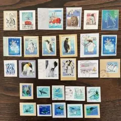 78640セール現品限 外国切手 仏領南極地域発行ペンギン1種揃 - メルカリ