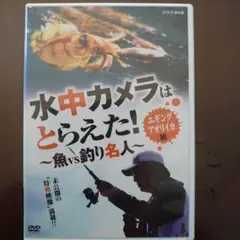 アオリイカ　水中カメラはとらえた！　DVD