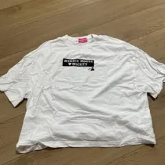 東京ディズニーリゾート ミニーマウス Tシャツ M