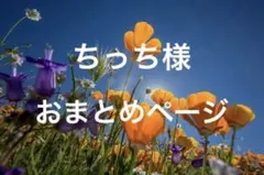 ちっち様　おまとめページ