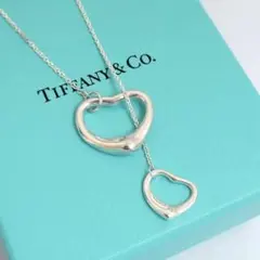 2025年最新】ティファニー ラリアットの人気アイテム - メルカリ