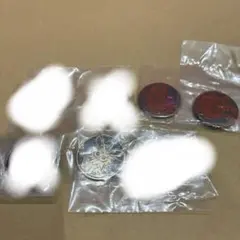 ポケモンカードゲーム ポケモンコインコレクション 第5弾　1つ