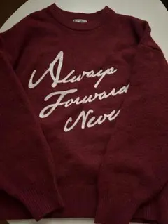 ロゴ刺繍プルオーバー　田中里奈　しまむらコラボ