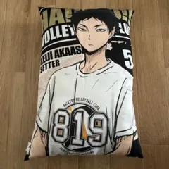 Item thumbnail for item fd691467-8287-456e-ac82-afe636605183