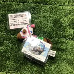 ハルウララ ぬいぐるみキーホルダー 応援馬券 高知競馬サポートKRA 非売品
