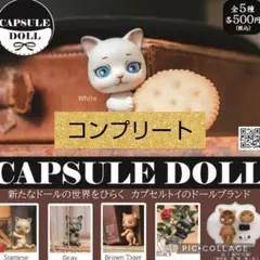 カプセルドール　ねこ　ガチャ　コンプリート