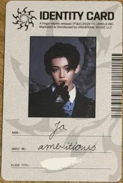 &TEAM JO ジョウ 죠 トレカ 月狼 IDENTITY CARD