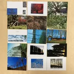 Item thumbnail for item e79eb596-f677-4e1e-81ac-3b21707807e4