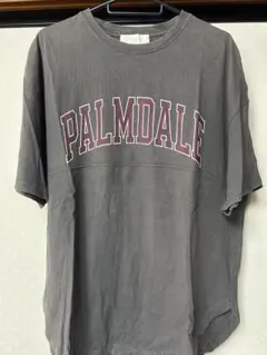 PALMDALE ロゴ Tシャツ グレーのサムネイル