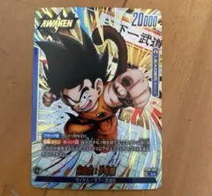美品　孫悟空　少年期　リーダーパラレル　フュージョンワールド　FB06