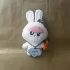 2025年最新】seventeen ボンボンイ うさぎの人気アイテム - メルカリ