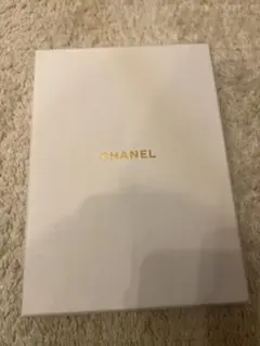 CHANEL シャネル ノベルティ フォトブック ノート ベージュ/ゴールド