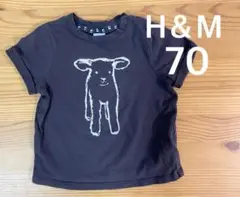 【H&M】子羊プリント Tシャツ 半袖 70