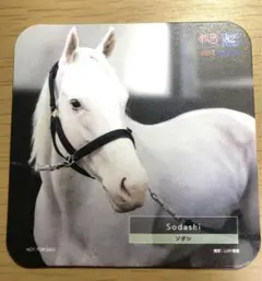 C.Y.S.様 リクエスト 2点 まとめ商品