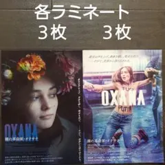 映画 OXANA 裸の革命家・オクサナセット チラシ フライヤー - メルカリ