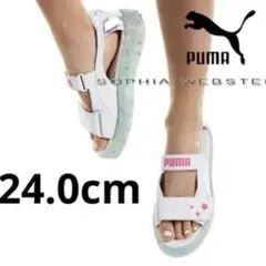 Item thumbnail for item 074f1765-5730-4d99-a6c8-412188c8774d