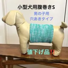 小型犬用腹巻きS （幅短め）男の子　H578