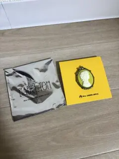 Mrs. GREEN APPLE バベルの塔ライブアイテム　　カメオピンズ　藤澤
