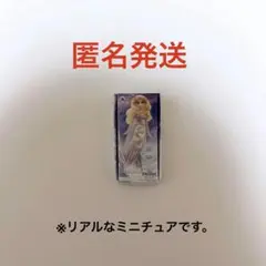 アナと雪の女王　エルサ　ミニチュア　ミニブランズ　ディズニーストア