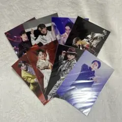 TravisJapan   松倉海斗　虎者　ステフォ