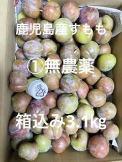 ①-3k鹿児島産すもも　プラム　箱込み3.1㎏　無農薬　農薬不使用のサムネイル