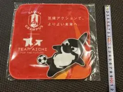 名古屋グランパス ハンドタオル グランパスくん
