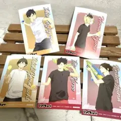 ハイキュー!! サマーフェア アニメイト 特典 イラストカード 水遊び　５枚
