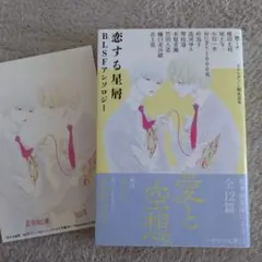 恋する星屑 BLSFアンソロジー　中村明日美子イラカ付き