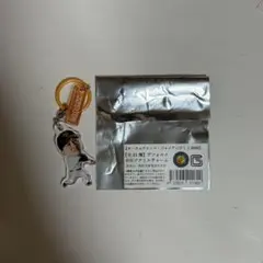 オータムチャンスジャイアンツくじ めじるしチャーム 泉口友汰