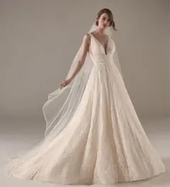PRONOVIAS Aライン 22年新作キラキラビーズドレスのサムネイル