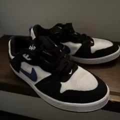 NIKE SB アリウープ ホワイト/ブラック/ブルー 23.5cm キッズ