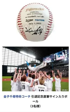 オリックスバッファローズ 金子千尋投手 サインボール オリックスバファローズ 金子千尋 選手 サインボール コレクション