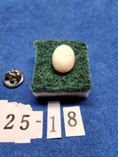 Item thumbnail for item dec6110a-8939-4fa2-80a2-e59f0eba260c