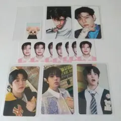 Stray Kids スンミン Seungmin トレカ toy world