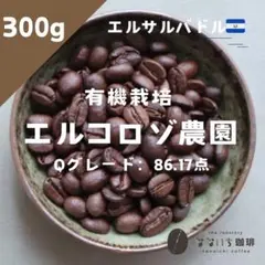 Item thumbnail for item 16de168a-f4bd-47c9-a8de-f7c9cd05b436