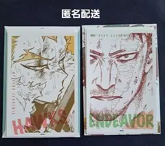 ヒロアカ　原画展　ワンシーンカードコレクション　ホークス　エンデヴァー