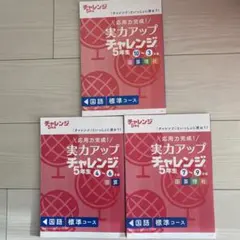 2025年最新】5年生 進研ゼミの人気アイテム - メルカリ