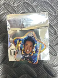 Item thumbnail for item 54aa9e42-f810-4126-a2e4-1a1514f61b78