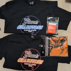 読売ジャイアンツ 2002 チャンピオンTシャツ他　応援セット