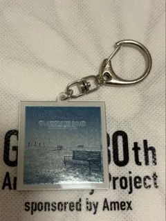 【未開封新品】GLAY Amex 特典 アルバムジャケットキーホルダー 全36個 非売品】フルセットGLAY ×Amex キーホルダー&バッグセット
