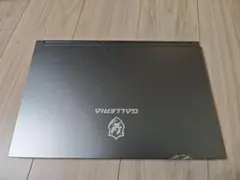 GALLERIA ゲーミングPC 164370 GCL2060RGF-T875