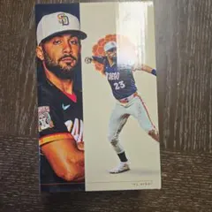 Fernando Tatis Jr. ボブルヘッド サンディエゴ・パドレス